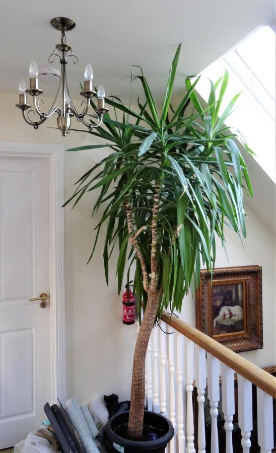 Bracadale House Bed & Breakfast Port na Long Bagian luar foto